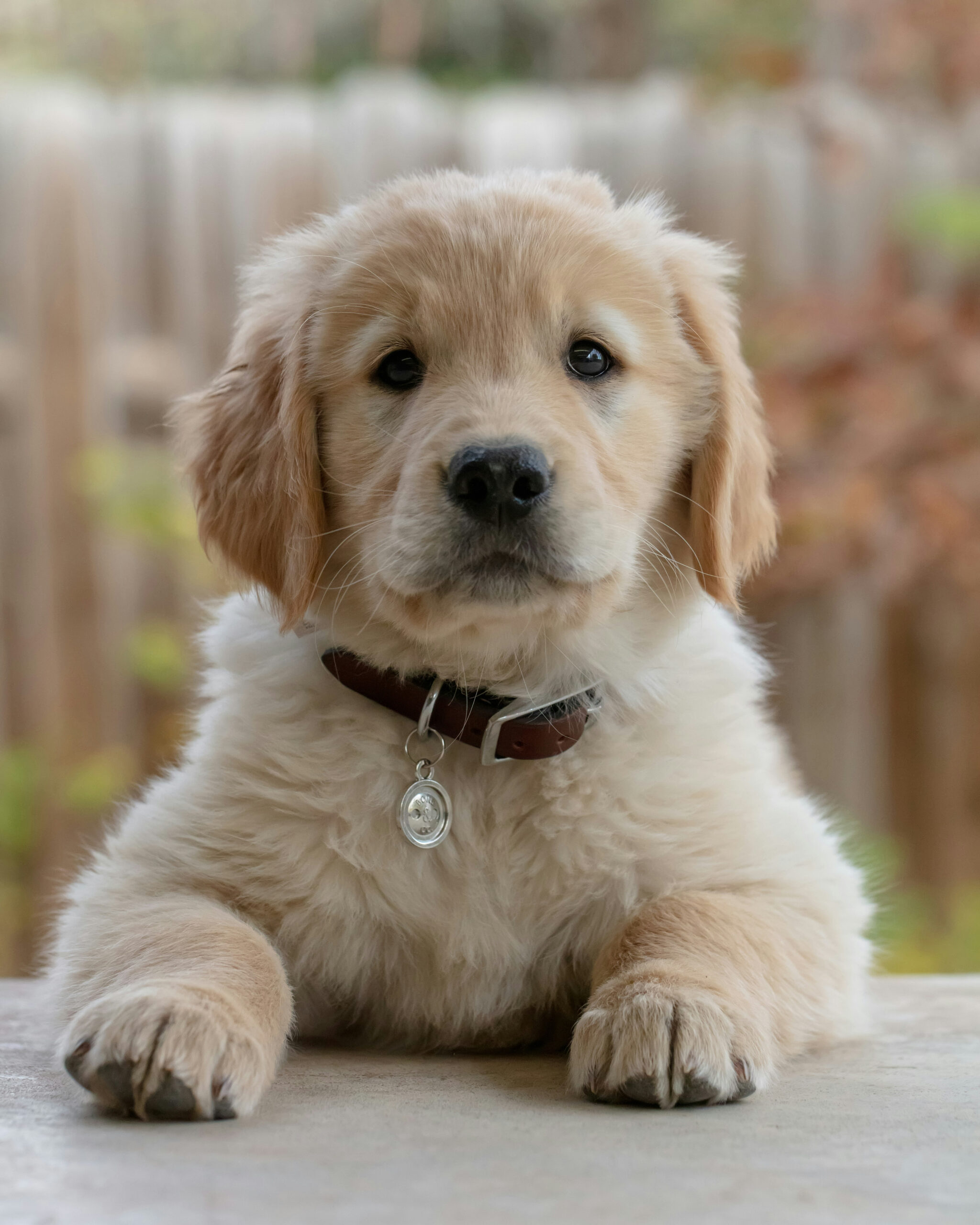 Hello world!